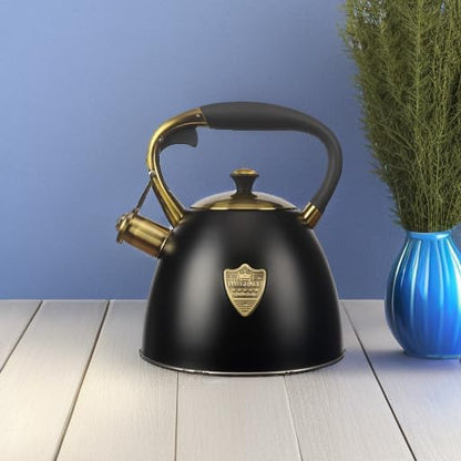 2.9-Quart Stainless Steel Whistling Tea Kettle for Stovetop
