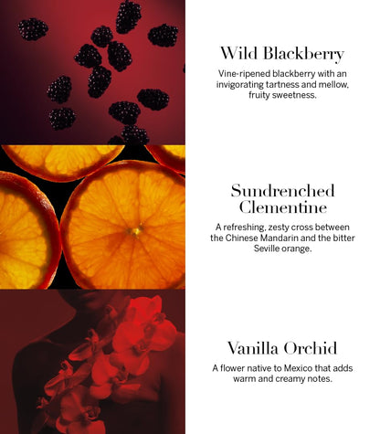 Women’s Eau de Parfum with Vanilla Orchid & Blackberry