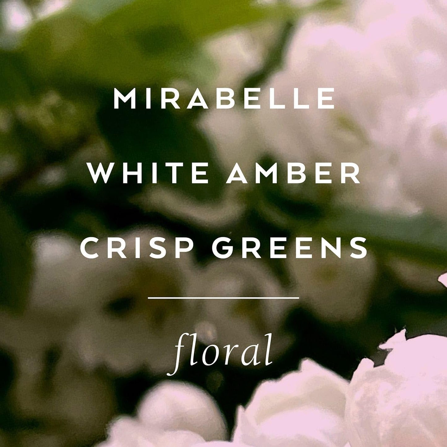 Scented Dry Body Oil with White Amber & Mirabelle