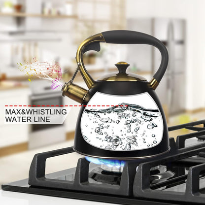 2.9-Quart Stainless Steel Whistling Tea Kettle for Stovetop